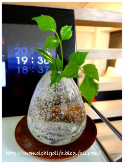 20130422_2.jpg