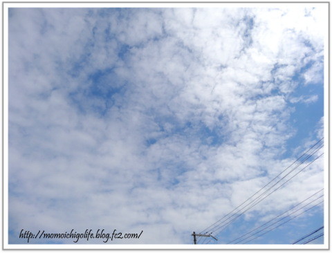 20130805_1.jpg