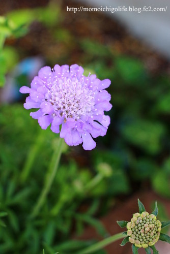 20140425_1.jpg