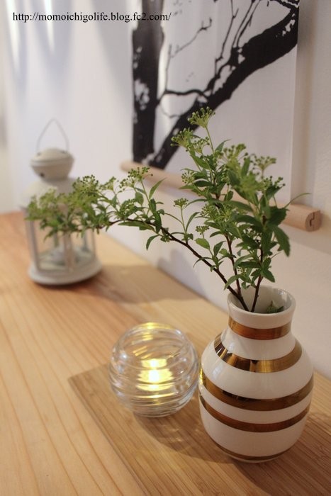 20150316_7.jpg