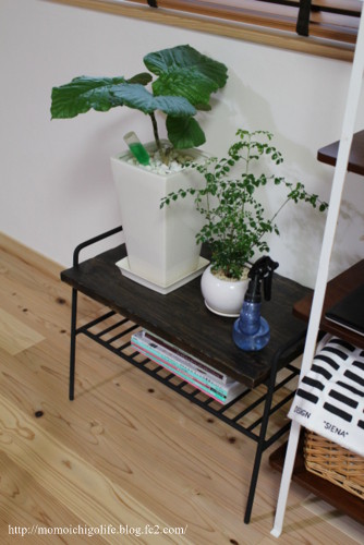 20140814_5.jpg