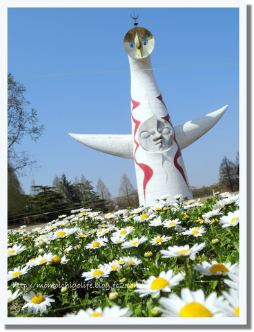 20130413_1.jpg