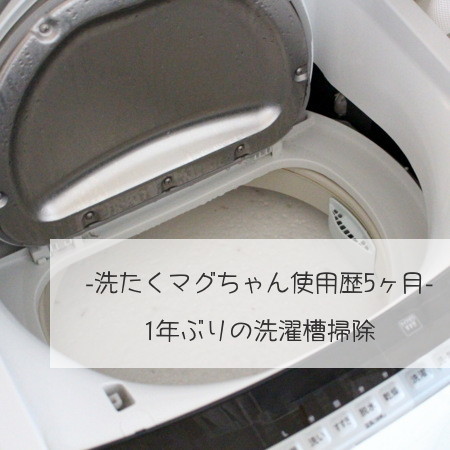 æ´—æ¿¯ãƒžã‚°ã¡ã‚ƒã‚