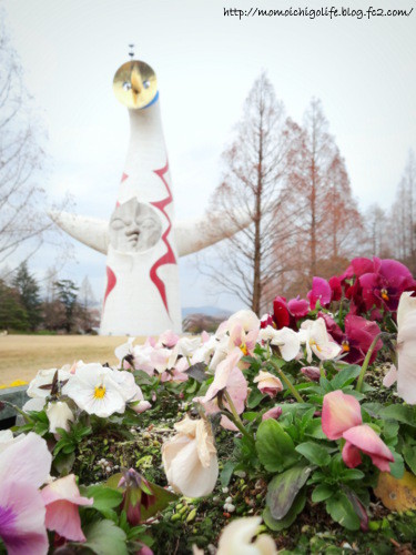 20140329_5.jpg