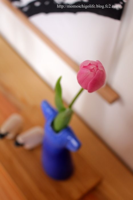 20150207_1.jpg