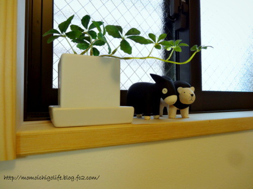 20140308_4.jpg