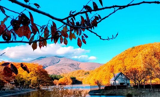 長老湖紅葉 A Blog 長老湖紅葉 A Blog