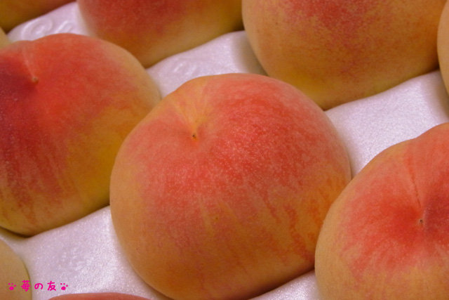 旬のブランド桃 あら川の桃 格安購入ドライブ 13 苺の友の関西食べあるき