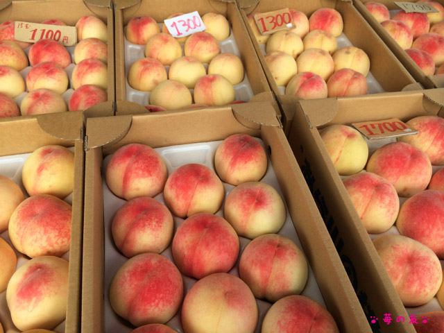 旬のブランド桃 あら川の桃 格安購入ドライブ 15 苺の友の関西食べあるき
