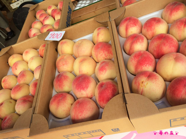 旬のブランド桃 あら川の桃 格安購入ドライブ 15 苺の友の関西食べあるき