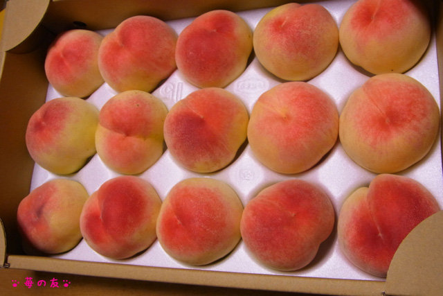 旬のブランド桃 あら川の桃 格安購入ドライブ 13 苺の友の関西食べあるき