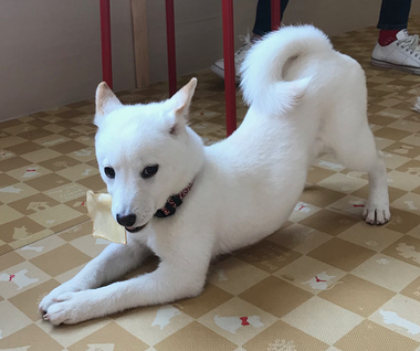 みにい2