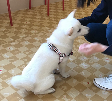 みにい3