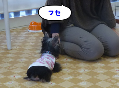 BlogPaint