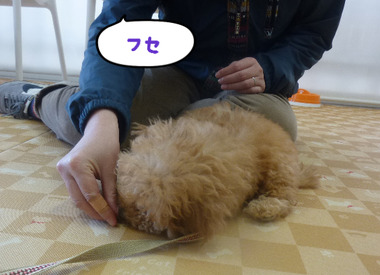BlogPaint