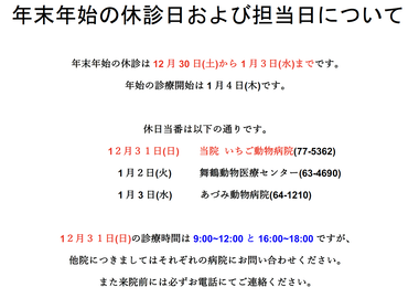 年末年始の休診日および担当日について