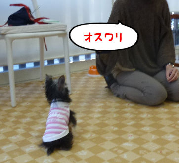 BlogPaint