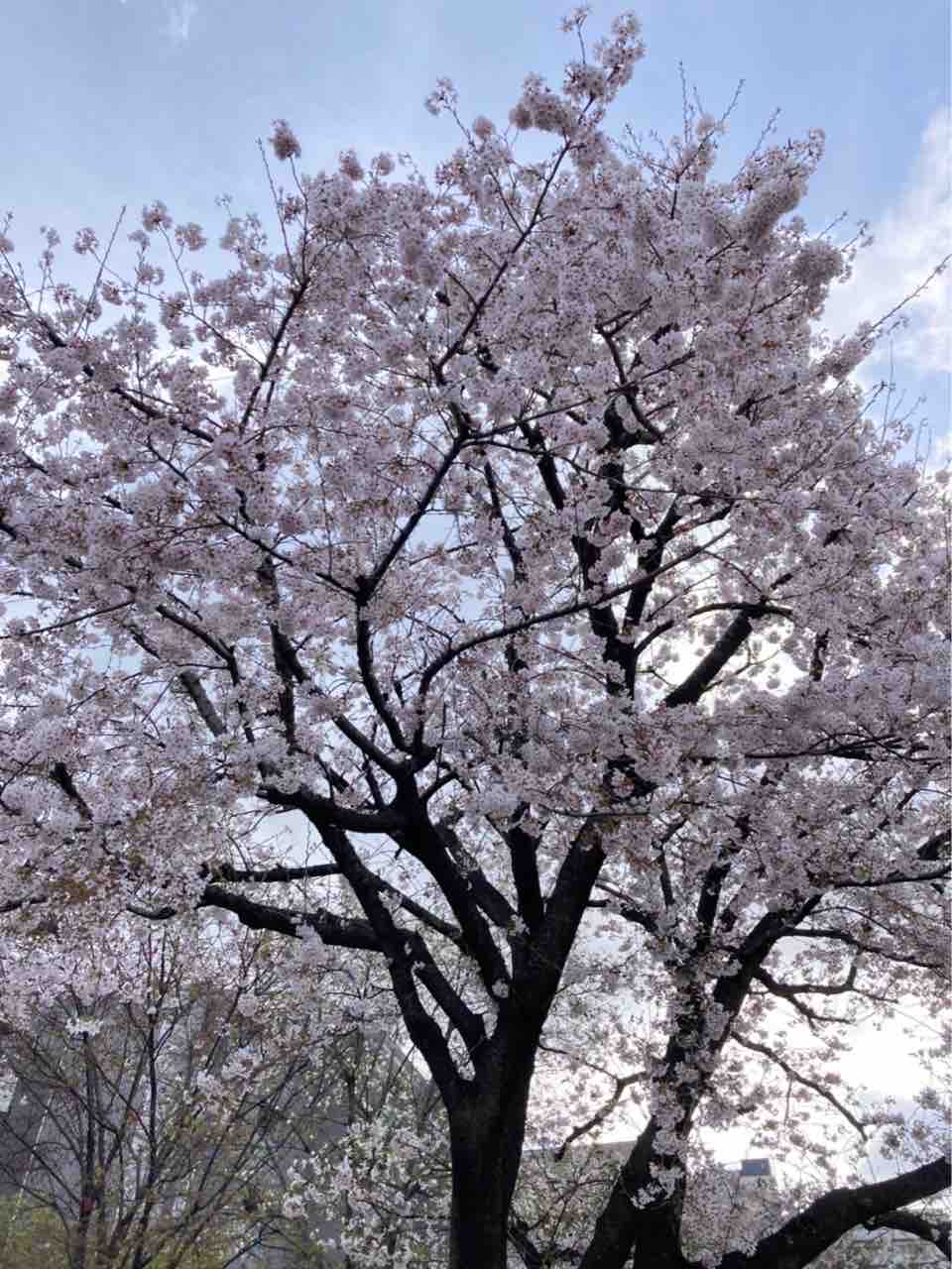 誕生日 火曜日 天気 曇 何が憂鬱なのか 憂鬱とは何なのか