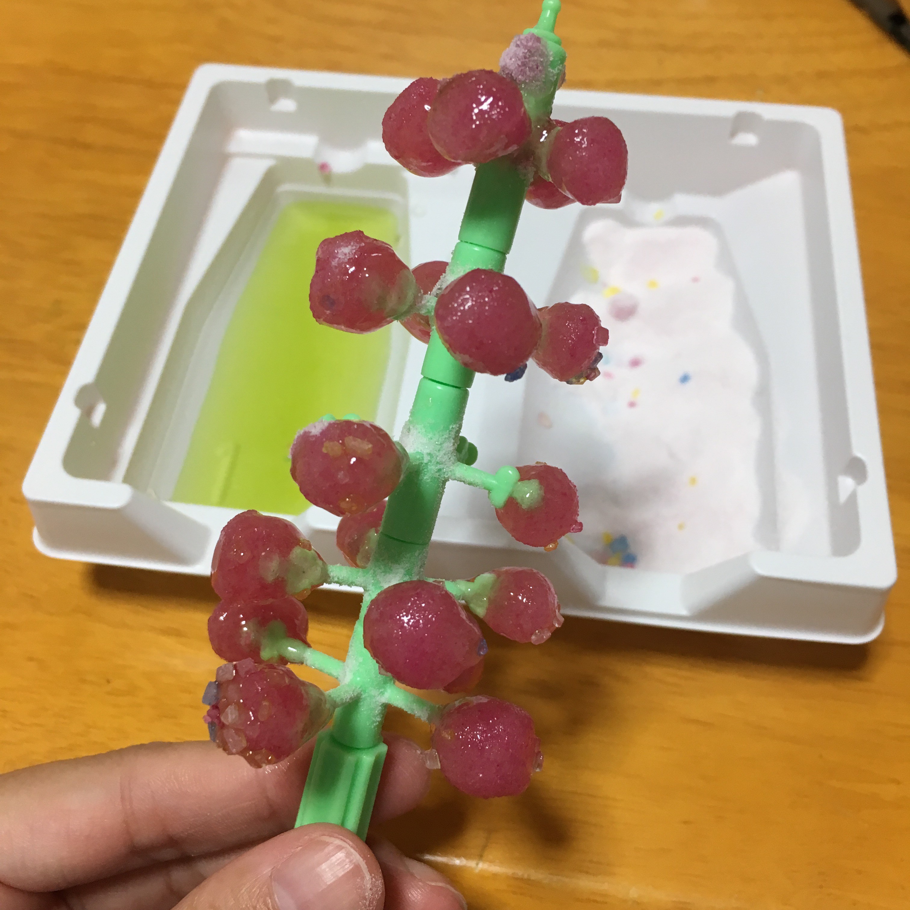 なるなるグミの実 いちごめるへん 終了