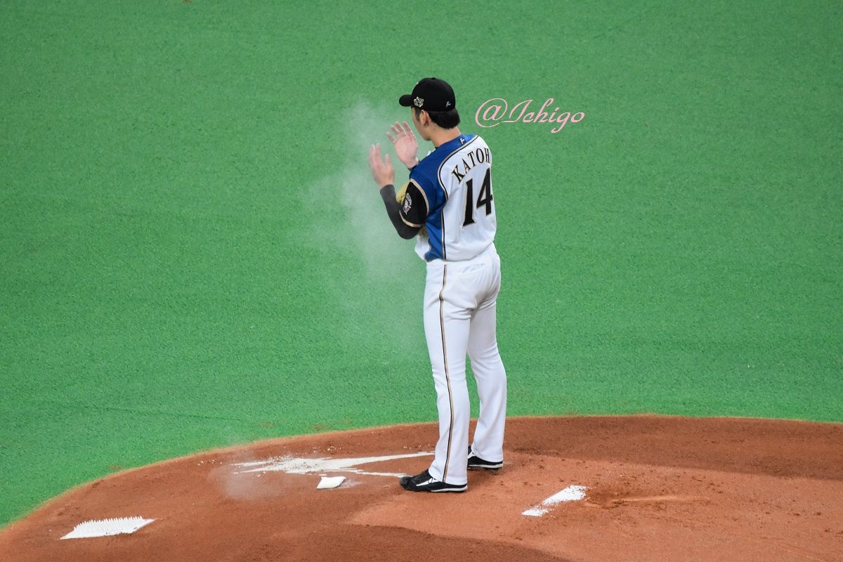 ロジンの妖精 いちごの闘病日記 明るい明日へ向かって