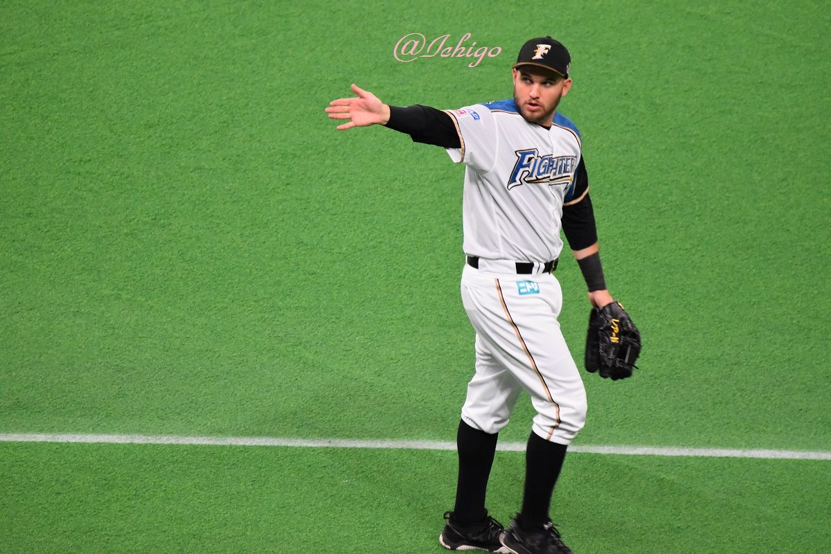 ロジンの妖精 いちごの闘病日記 明るい明日へ向かって