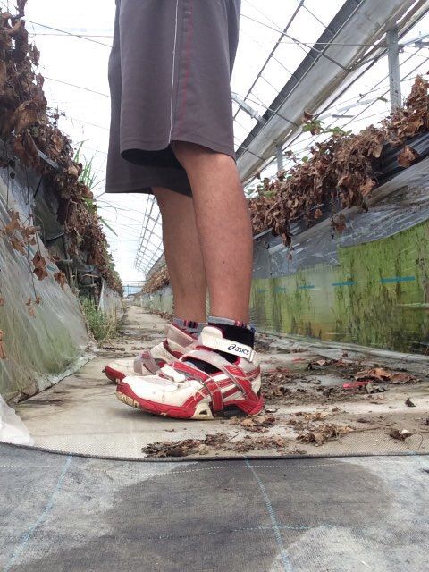 アキレス腱断裂 手術 リハビリ いちごパパさんの日常