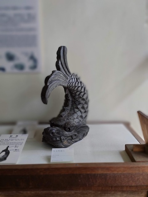 IMG20230921103424