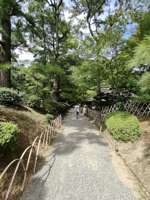IMG20230921105337
