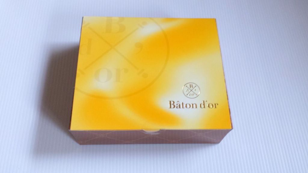 2016-2017 AW サンローラン（SAINT LAURENT）メンズコレクションが