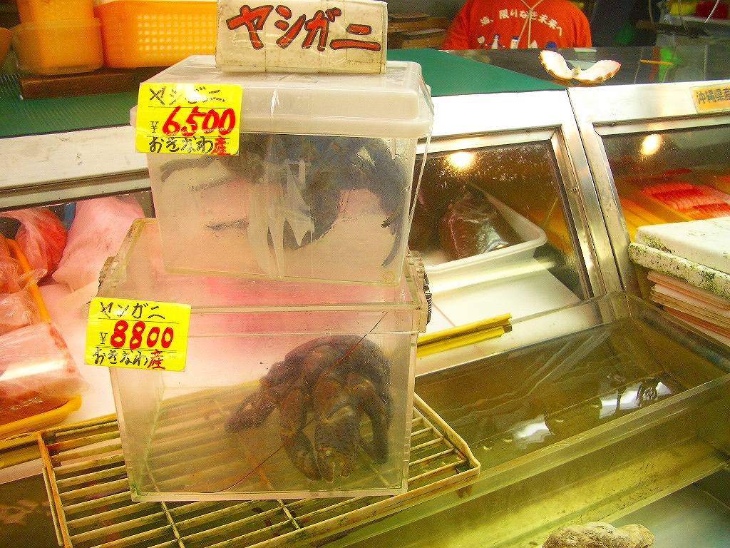イメージ 2