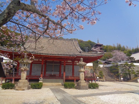 DSC07132