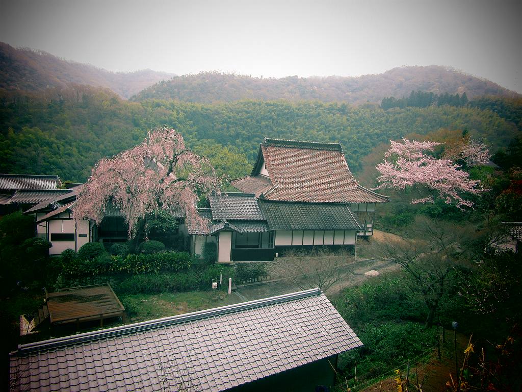 イメージ 5