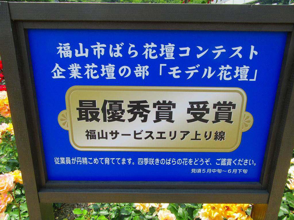 イメージ 7