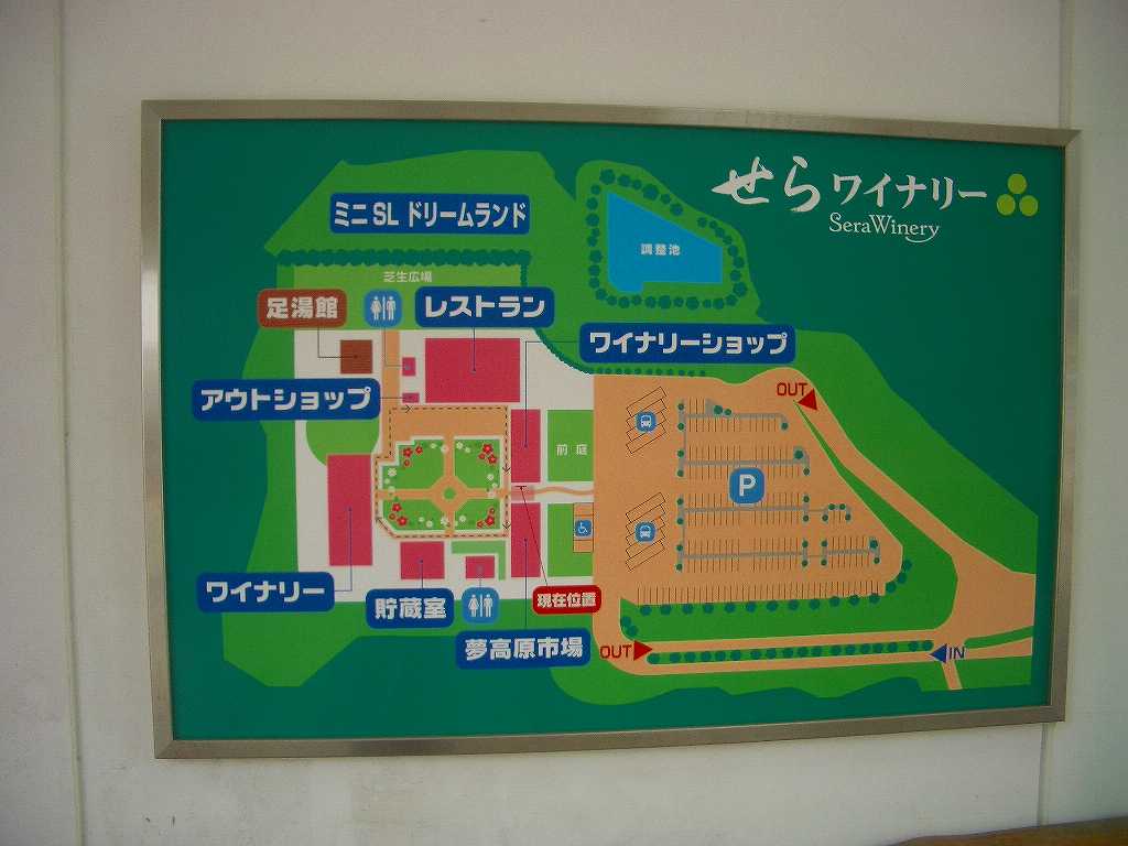 イメージ 5