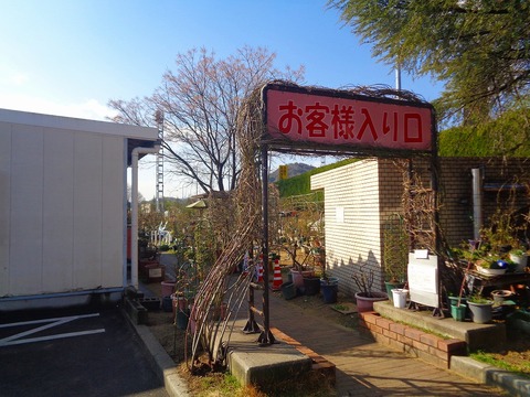 DSC06255