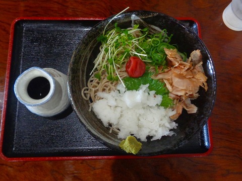 DSC07027