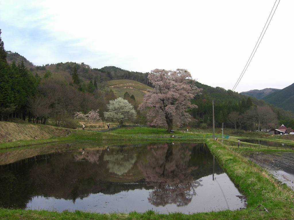イメージ 2
