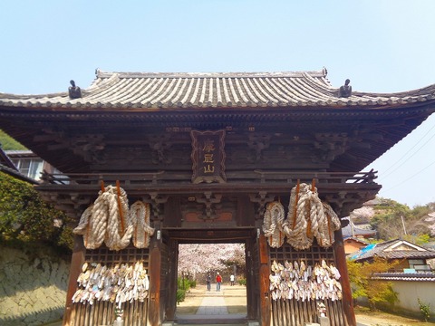 DSC07117