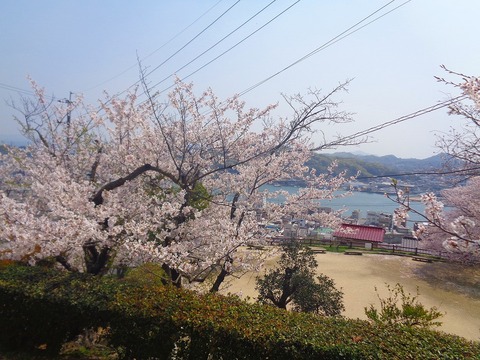 DSC07190