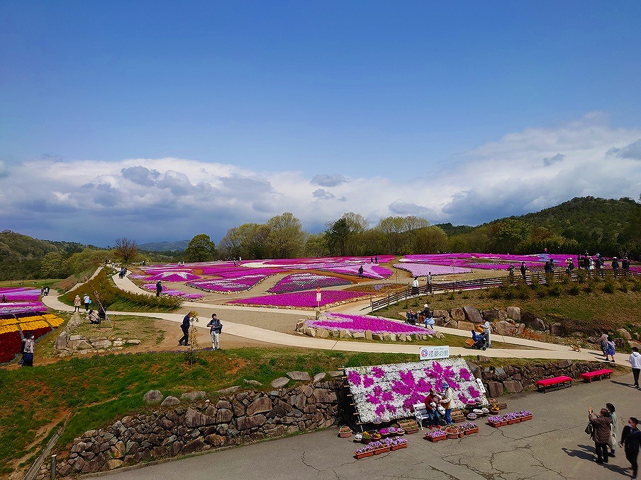 Flower Village 花夢の里 芝桜とネモフィラを観に行ってみる 広島県世羅郡世羅町 のほほ んと更新していくブログ Flower Village 花夢の里 芝桜とネモフィラを観に行ってみる 広島県世羅郡世羅町 のほほ んと更新していくブログ