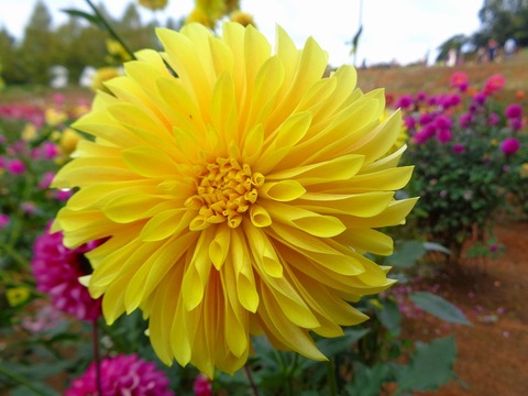 DSC04807
