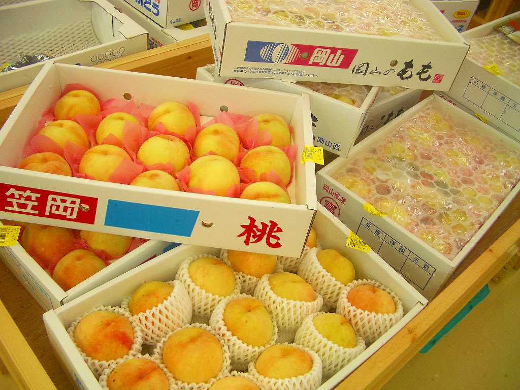 イメージ 9