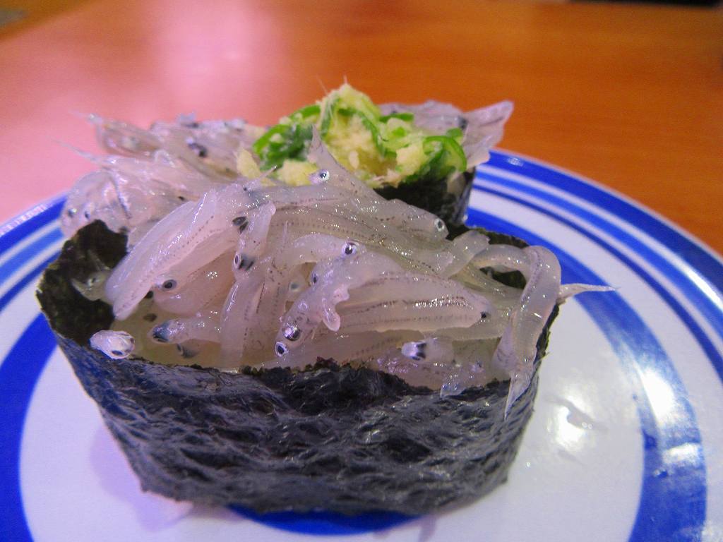 イメージ 15