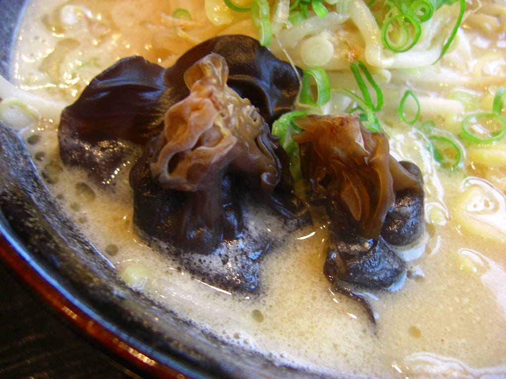イメージ 8