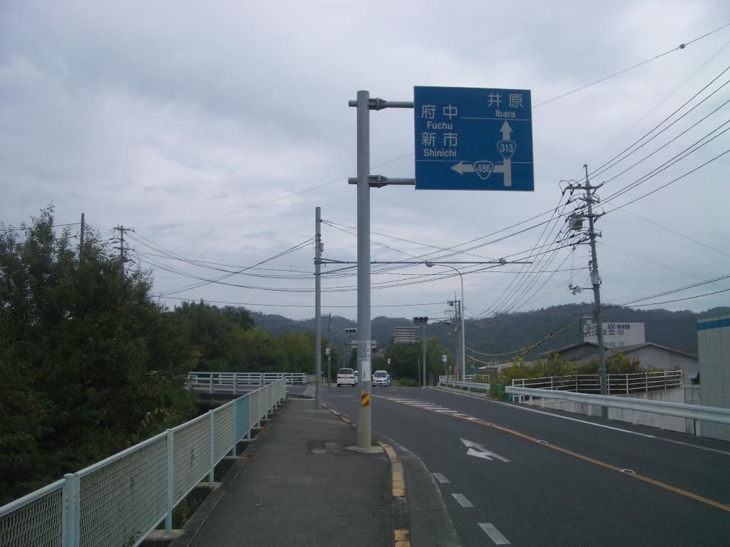 イメージ 6