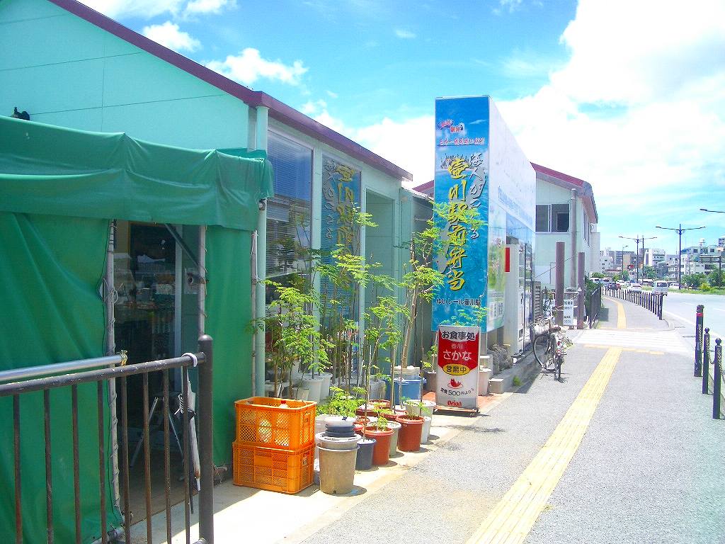 イメージ 13