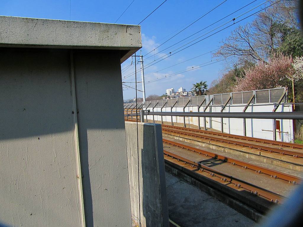イメージ 5