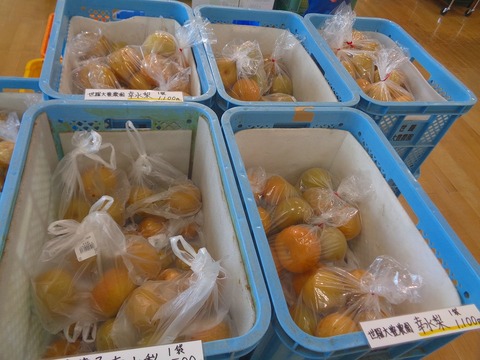 DSC09018