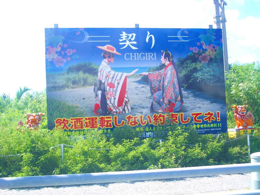 イメージ 7