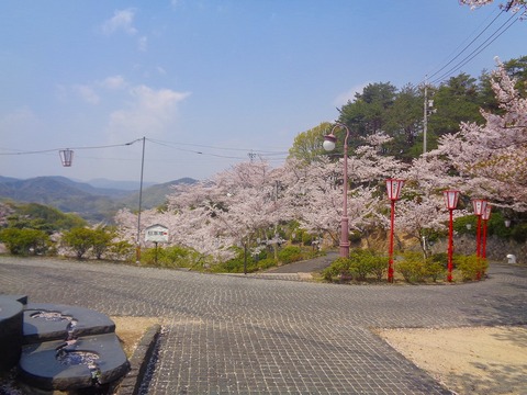DSC07195